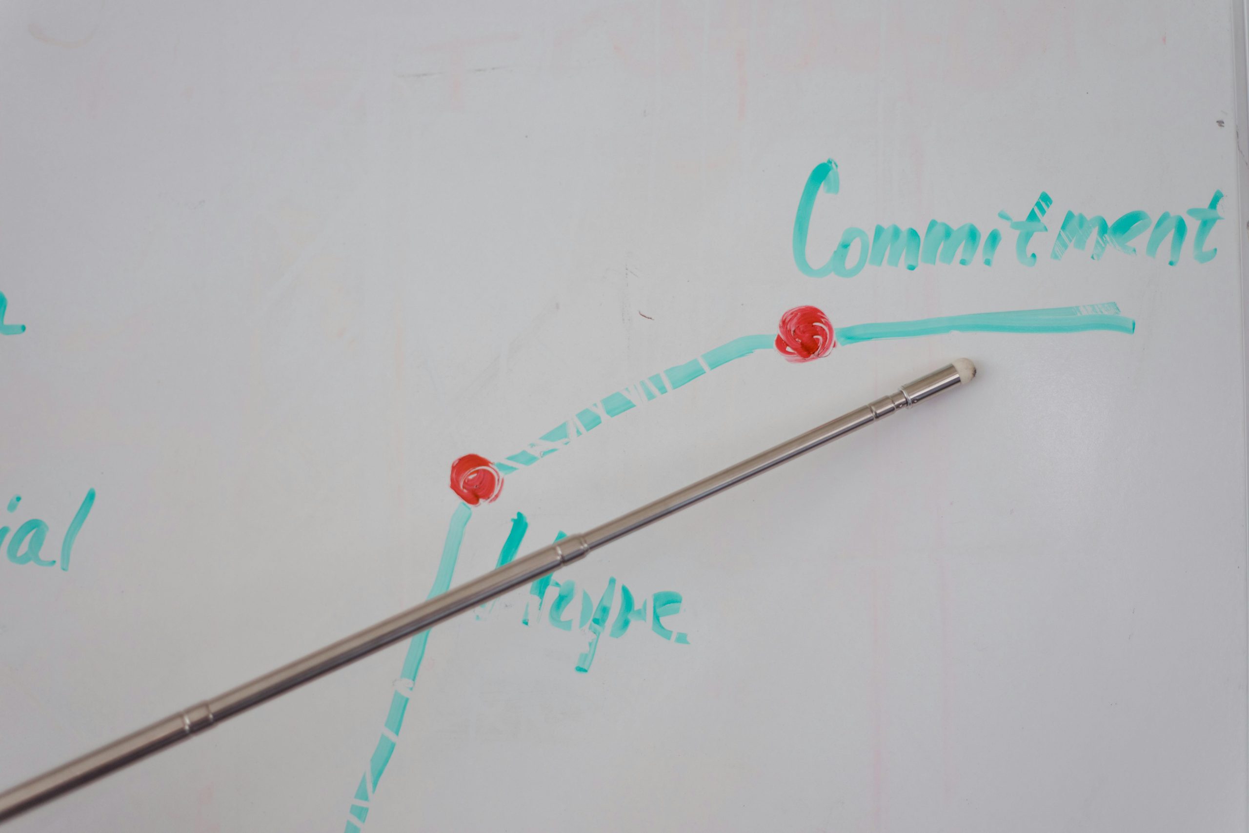 2wins hub pictures (4)