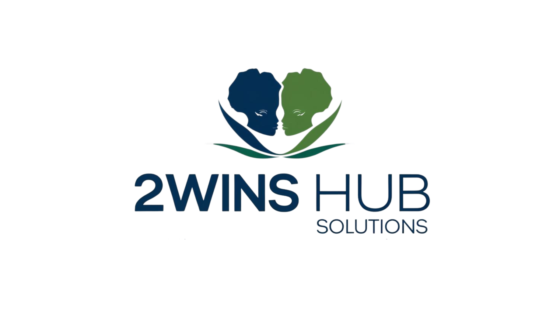 IIWINS HUB (2)